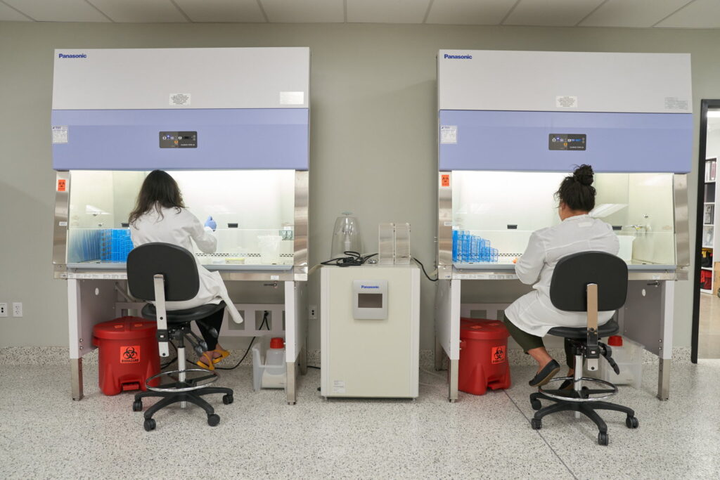 Biosafety cabinets in the ACTC Biobank processing laboratory