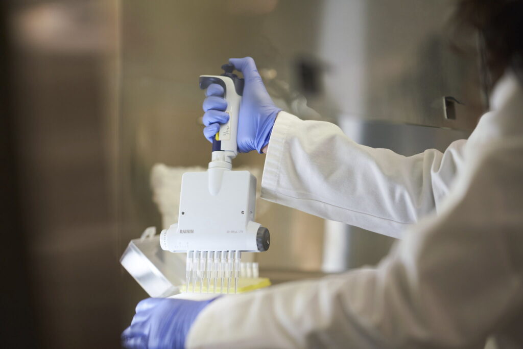 A multichannel pipette loading an assay plate in the biomarker laboratory